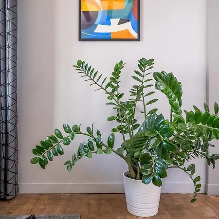 Apartmán New Le Coin Bleu - Center Sofie