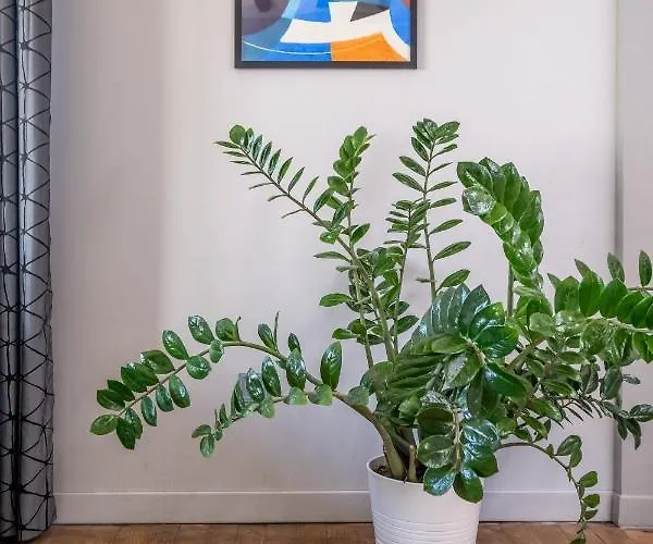 Διαμέρισμα New Le Coin Bleu - Center Σόφια